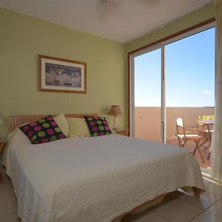 Apartment Penthouse Flamingo Palm-mar